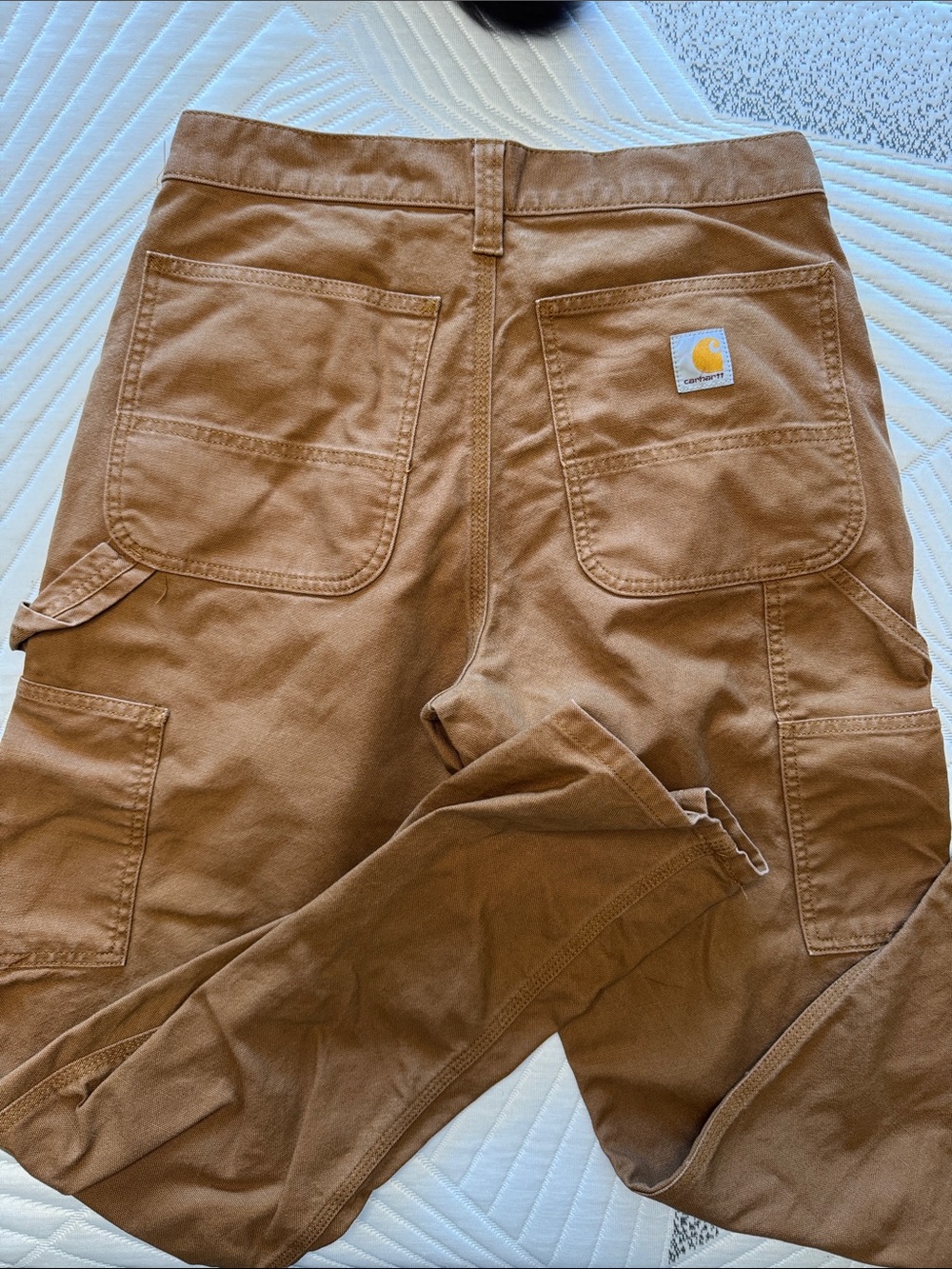 Carhartt Men’s Carpenter Cargo Pants - Brown